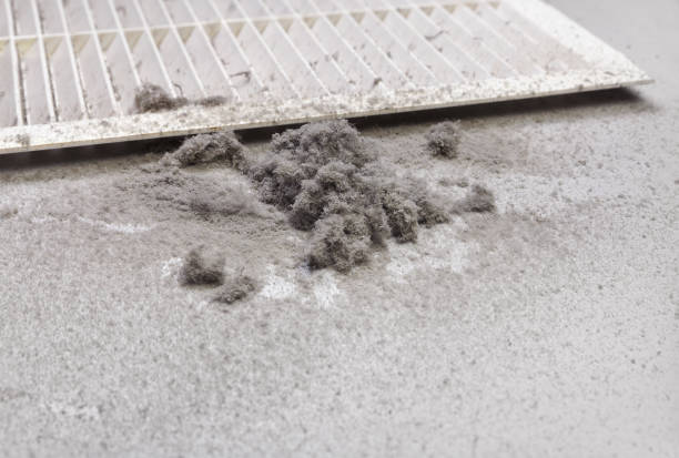 Best Affordable Air Duct Cleaning  in Pine Mountain Lake, CA